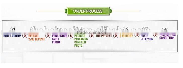 800ml Pyrex borosilicate glass teapot with stainless steel filter