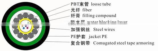 FrankEver 10 Cores GYXTS Unitube Fiber Optical Cable