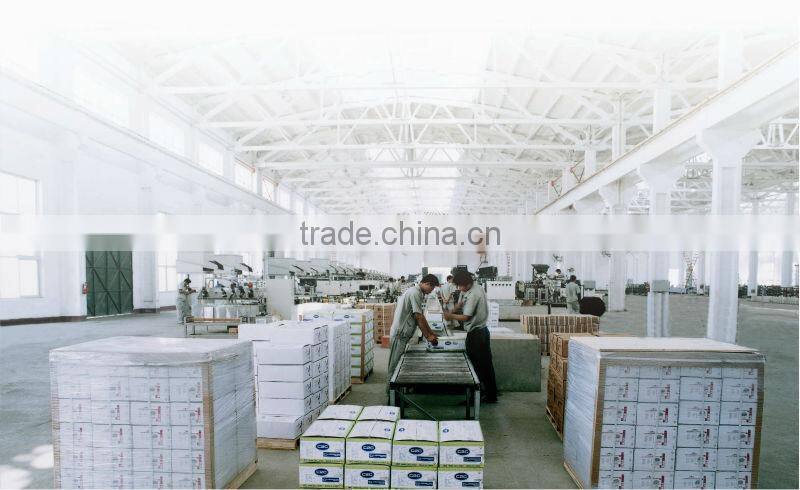 supply cheap metal roofing washer nails