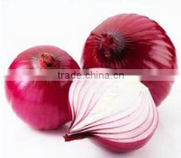 Medium capacity garlic peels removal machine