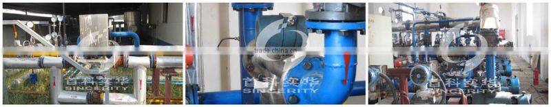 Beijing Sincerity DMF-Series Coriolis Mass Diesel Fuel Flow Meter