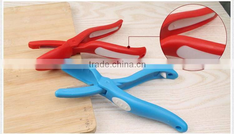 Best helpers for foodies chestnut cutter