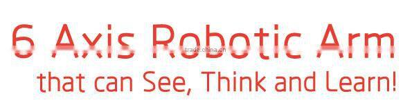 2016 Factory price educational DIY robot toy