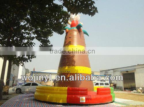 Kids rock backyard climbing wall