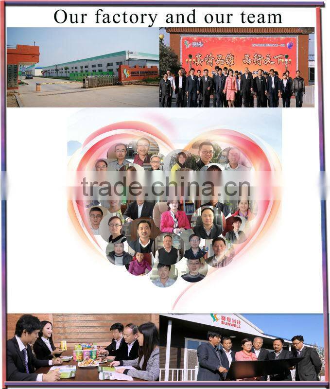 Low Temperture Vacuum Fried Vegetable and Fruits Snacks(veggie chips )