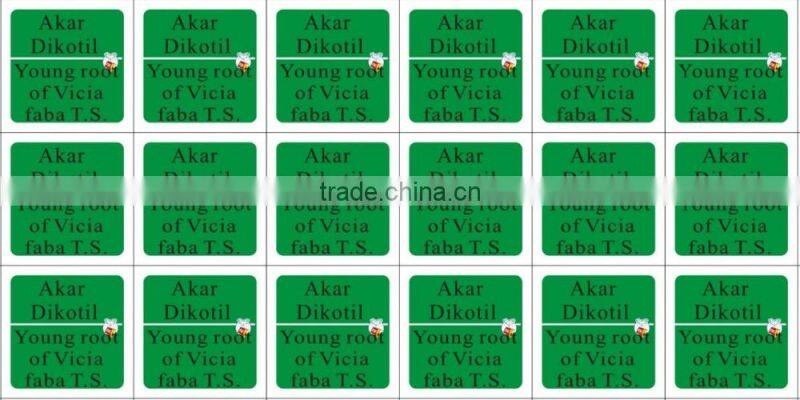 College and University Preparation Human Educational Pathology Slides