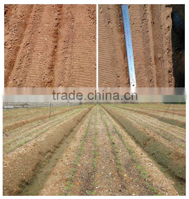hand pushed sowing machine carrots hot sale for small seeds