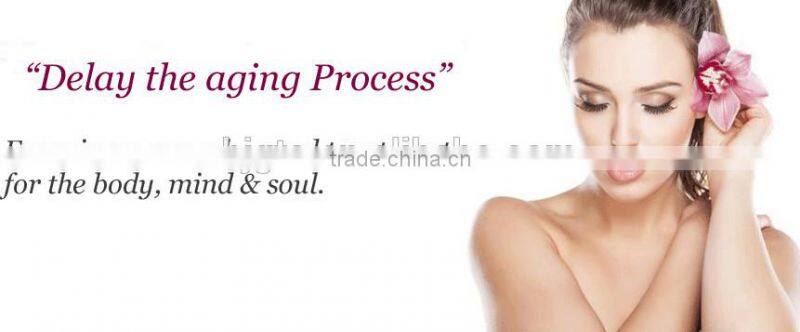 GTO new 600 needles 360 degree rotating derma roller