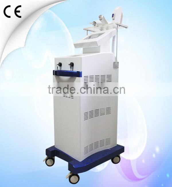 Good Hair removal/acne removal double screens Elight/RF/Laser tattoo removal multifunctional beauty equipment(LJL-III)