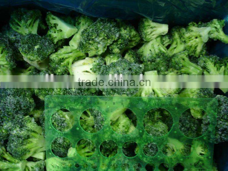 new crop fresh frozen broccoli
