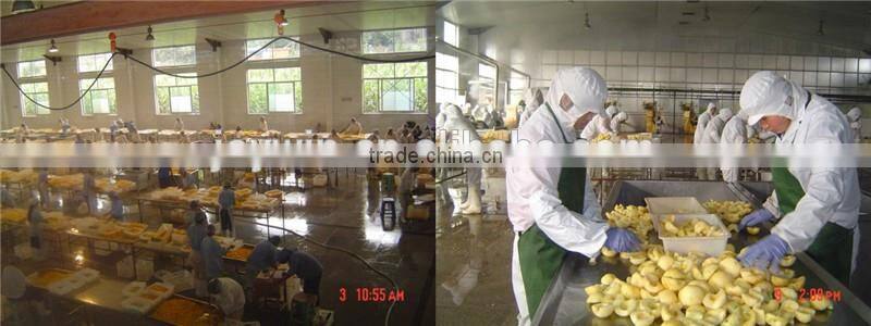 canned yellow peach halves dices slices syrup