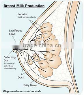 Vitabiotics Pregnacare Breastfeeding 84 Tablets/Capsules