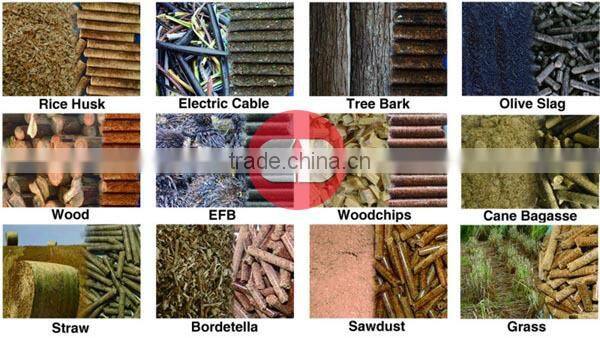 Top Quality ring die vertical pellet mill sawdust pellet making machine