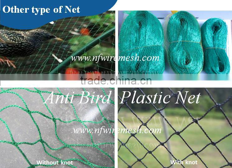 Hdpe net 25 x25 mm mesh hole agricultural bird netting (Guangzhou Factory)