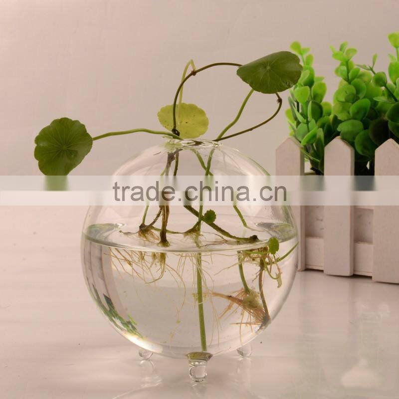 Ball shaped hydroponics container round transparent glass vase for plant