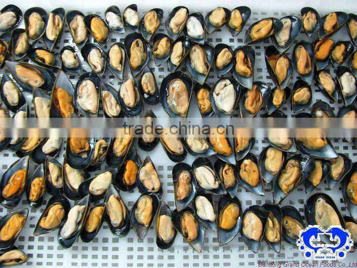 seafood frozen cooked mussel meat