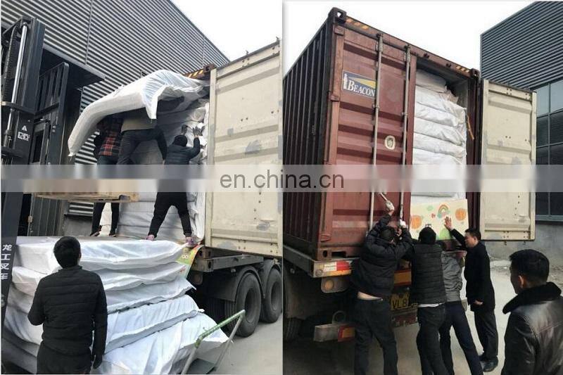 XPE Foldable Play Mat with Baby Animal