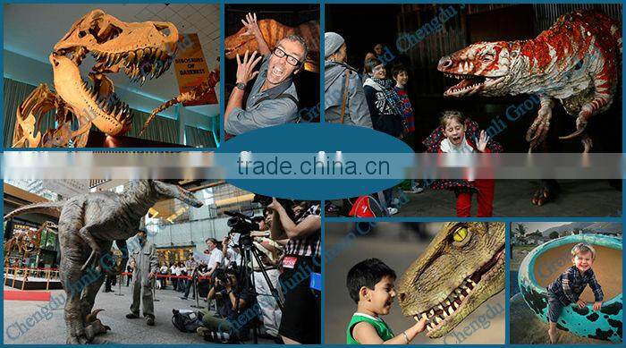 JLDF-G-0019 Life Size Museum Quality Dog Skeleton