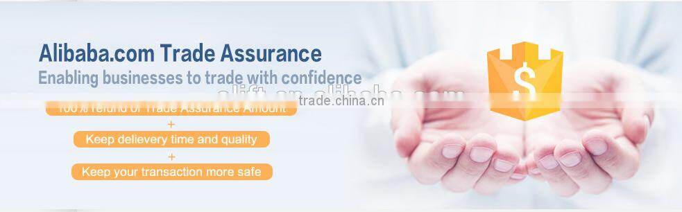 Best Price 1.6 T 1.8T 2T 2.5T 3T Electric Forklift Trucks for sale