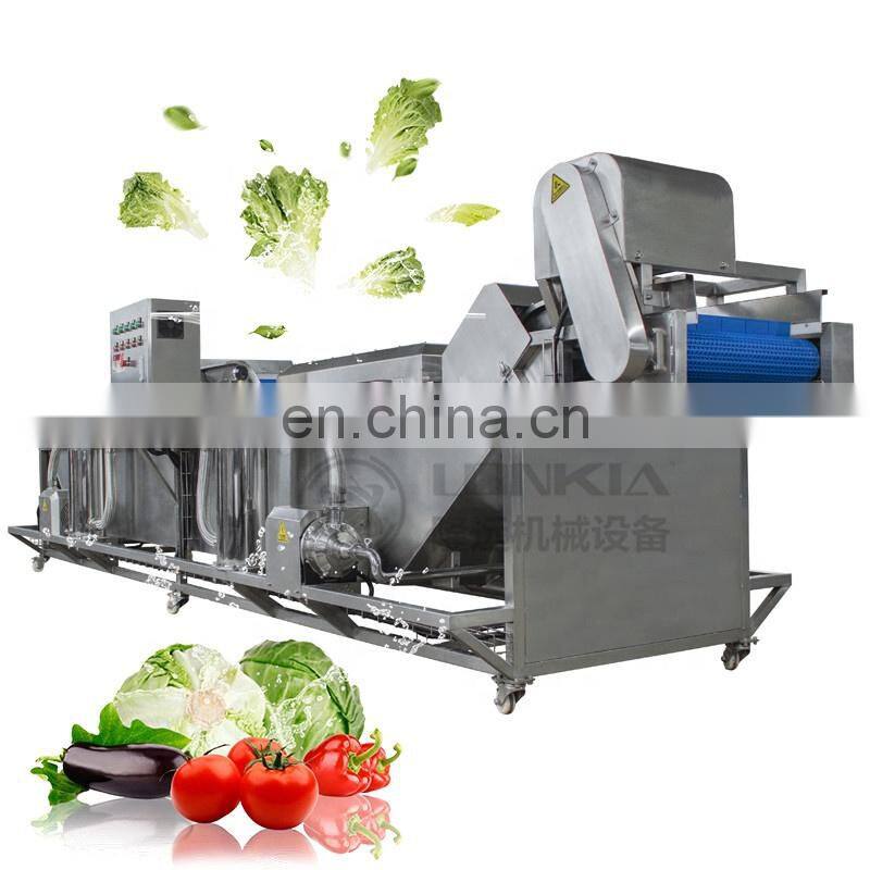 Commercial Small Fruit Bubble Washing Machine Tomatoes Pepper Bubble Washer for Fruit Vegetable
