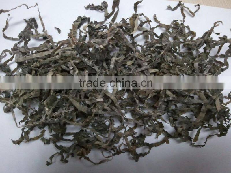 Sun Dried kelp cut shredded seaweed laminaria food