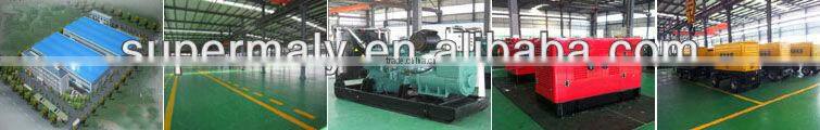 CE Approved industrial gas genset for sale!