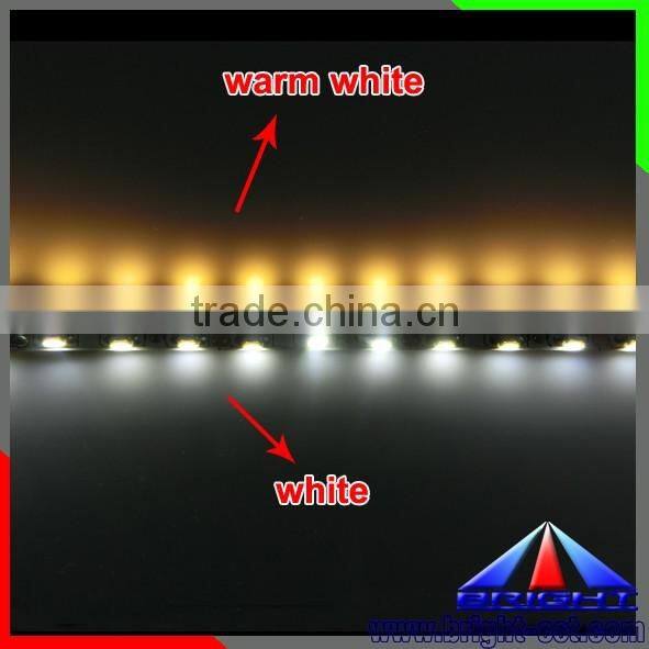 Two Color Led Strip 2700+6500K,3014 240LEDs 2700+6500K