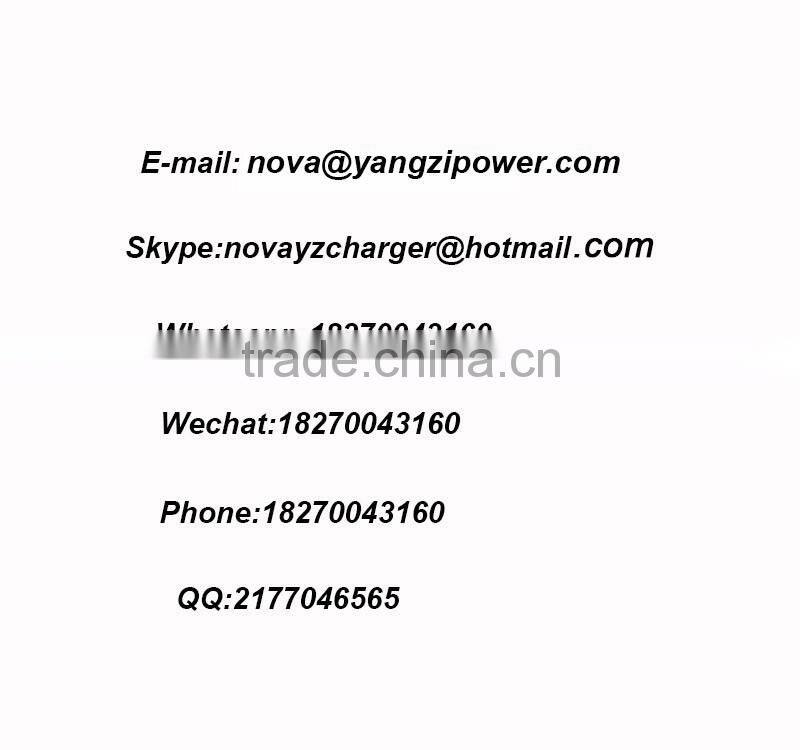 4.2V 8.4V 5A Lithium Polymer Electric Skateboard Battery Charger Li-ion Power Adapter