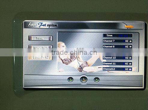 12 pad lipo laser