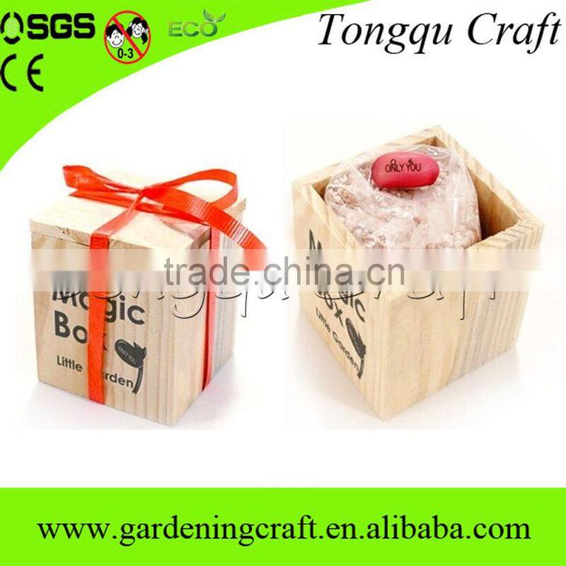 promotional gift message bean with wooden box, make magic beans