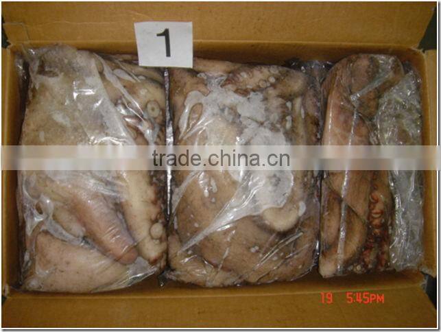 Seafrozen Octopus Whole Round from Morocco