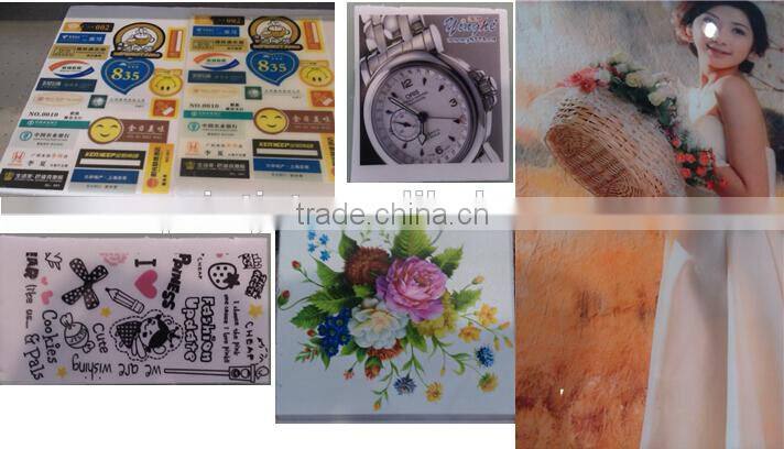 Digital UV Flatbed Printer