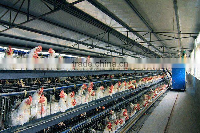 Light steel construction poultry farm shed with equipment/carport/car garage /steel structure building project