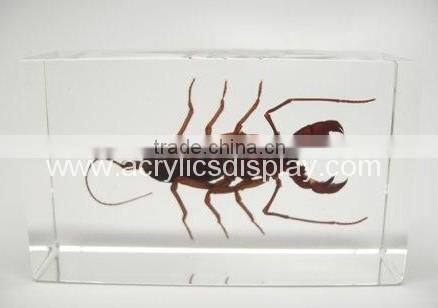 acrylic specimen block