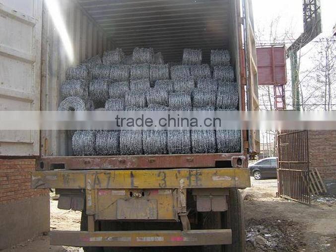 Double Stranded and Single Stranded Galvanized Barbed Wire