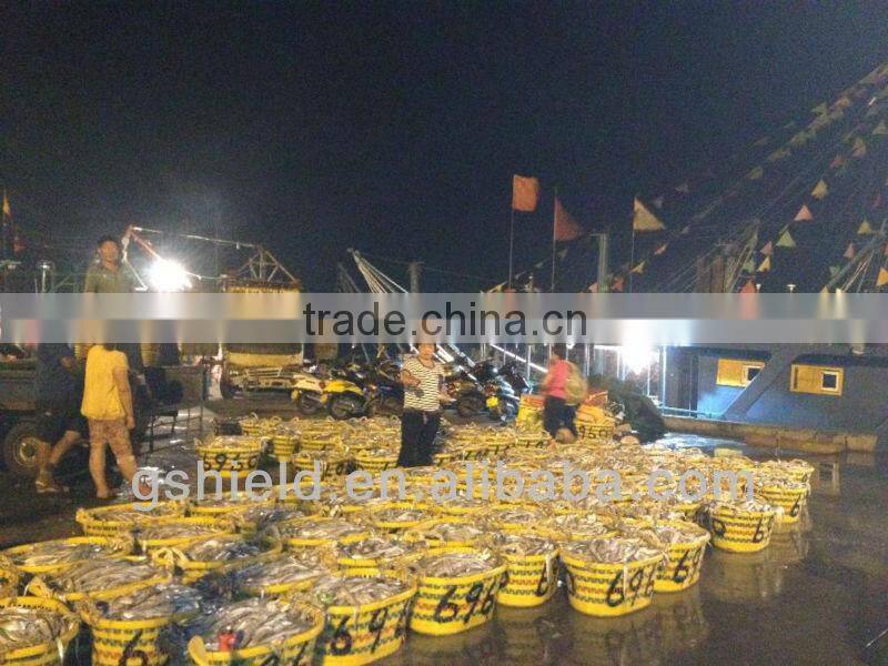 cheap price size 200-300g/pcs whole round frozen mackerel