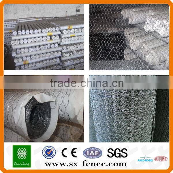 Galvanizedpvc coated chicken wire poultry mesh(ISO9001:2008 professional manufacturer)
