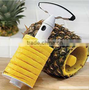 Canned Pine-apple in syrup Best Price