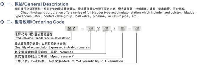 Bladder accumulator station hydraulic