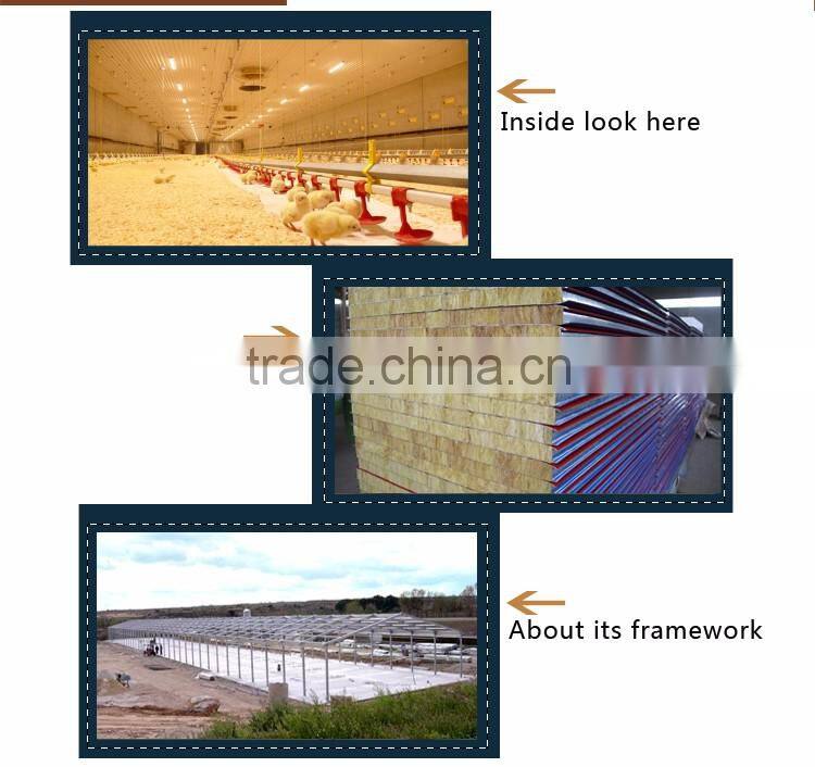low customized sandwich panel steel chicken farm hangar
