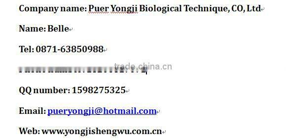 Hypoallergenic Beverage Additive -- Rice Protein