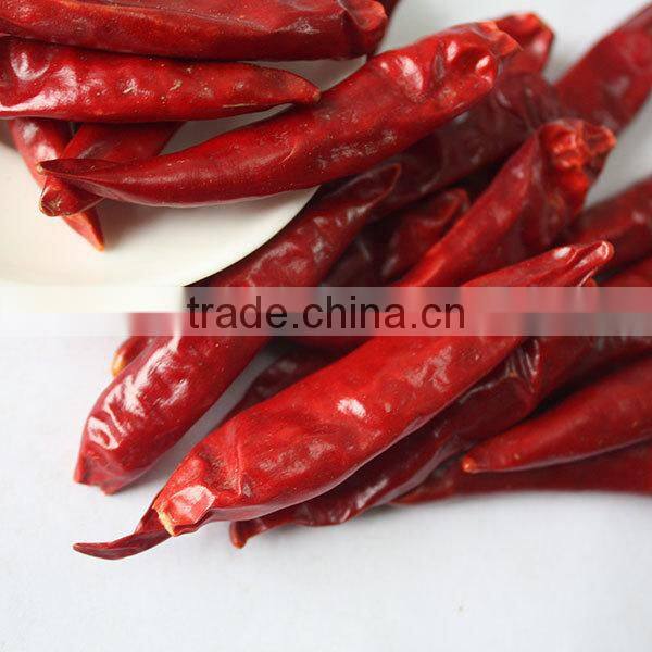 high quality chaotian chilli