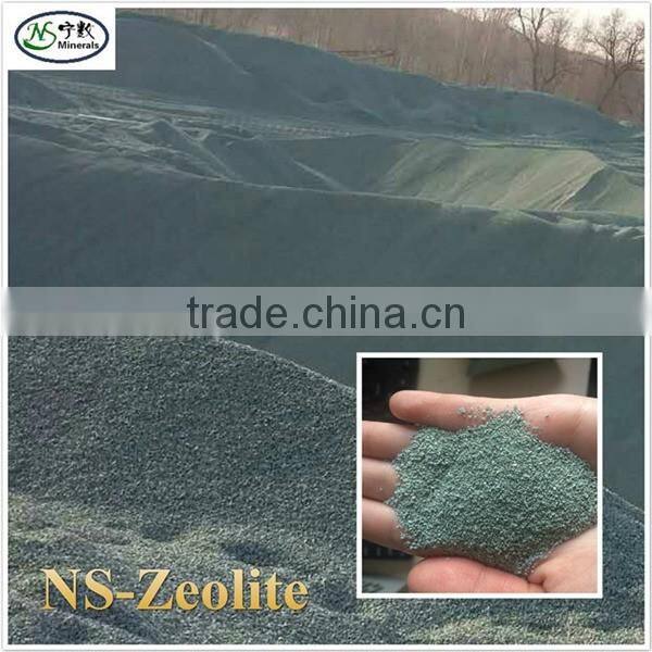 Clinoptilolite Natural Zeolite for Animal Feed Additive