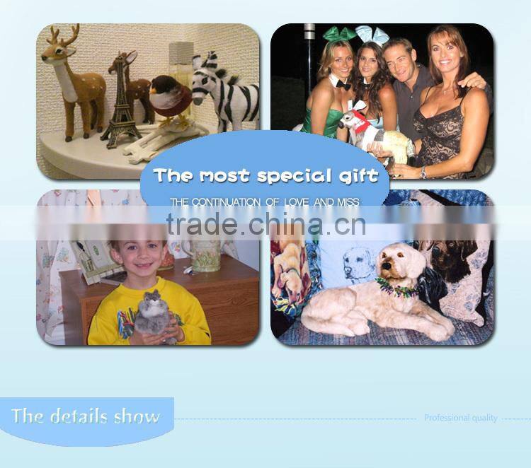 Top level most popular plush soft kiwi