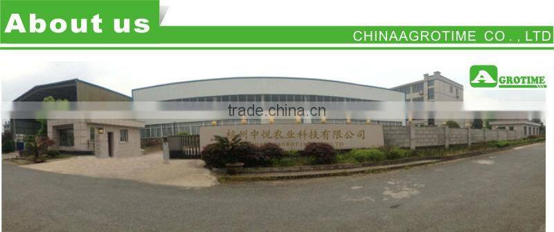 greenhouse with ventilation system from big greenhouse manufacturer in China