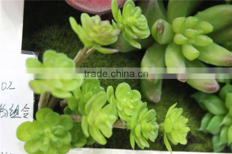 for home garden tiles deco 30*30*7cm paint color indoor artificial succlent boutique plant wall laminate combinations Ejq10 1202