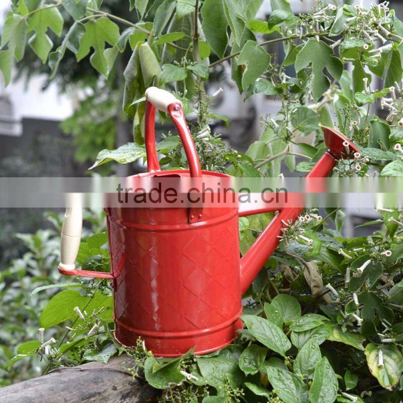 Colorful decorative metal watering cans with two handles for kids