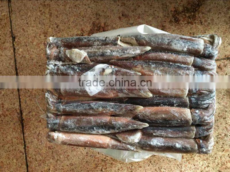 Illex Argentinus Squid