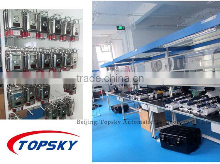 Combustible Gas Detector