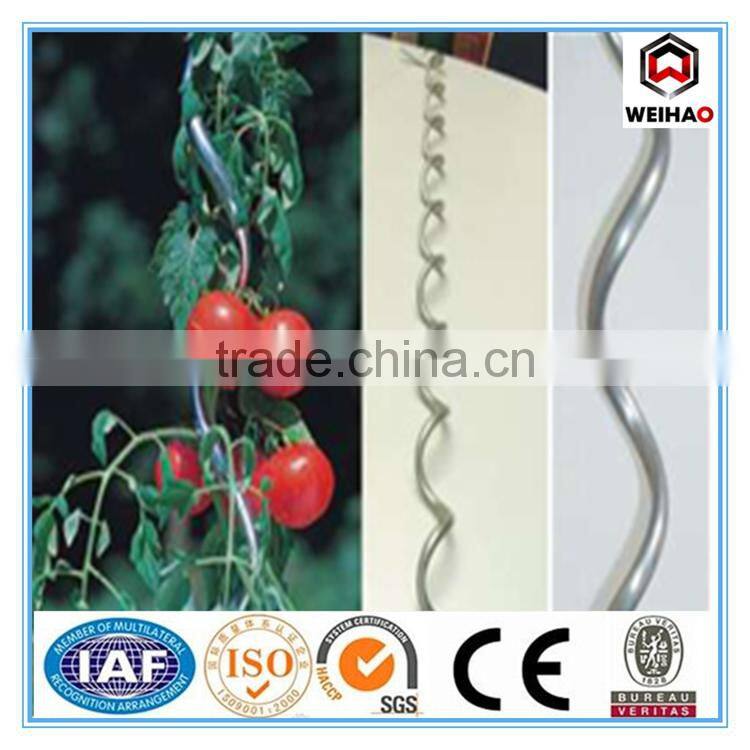 (galvanized or PVC coated Tomato Support Stick